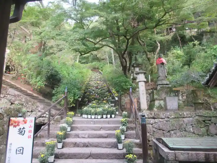 長谷寺(奈良県)