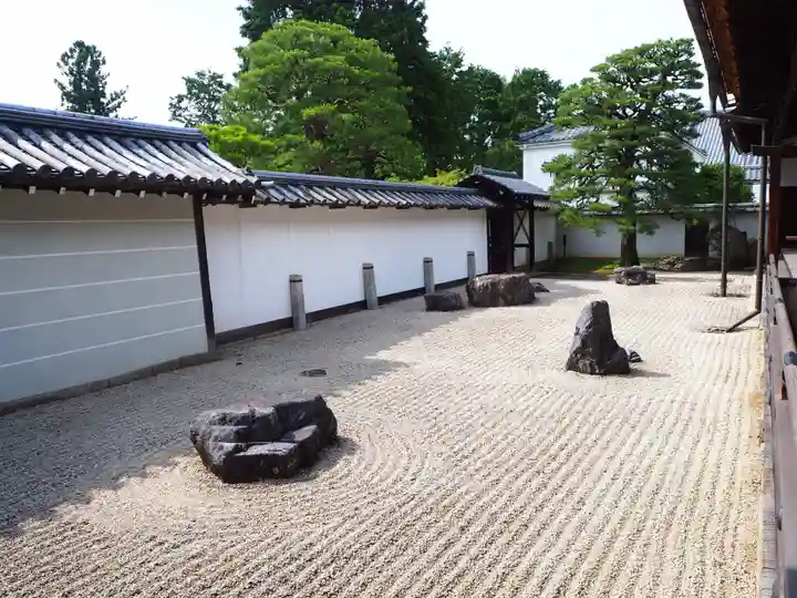 南禅寺の庭園