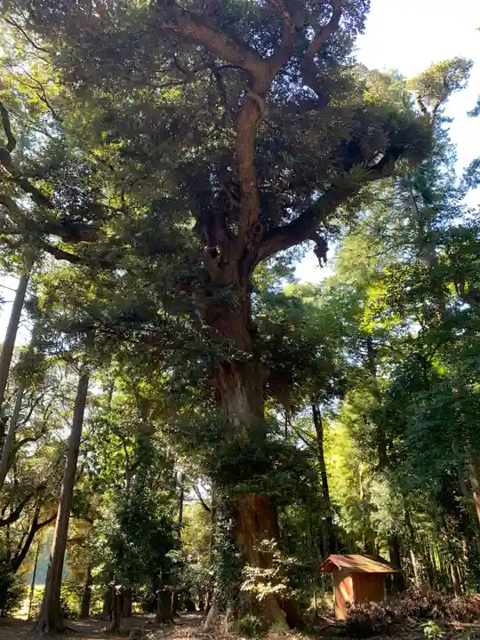 御靈神社の自然