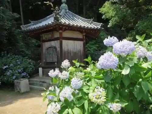 矢田寺(奈良県)