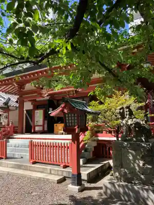 秋葉神社の本殿・本堂