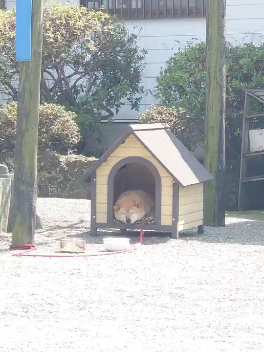 妙福寺(神奈川県)
