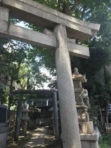 高円寺氷川神社の鳥居