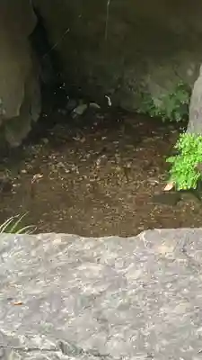 貫井神社(東京都)