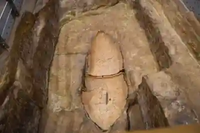 吉野ヶ里遺跡北墳丘墓の{uncategorized: "未分類", other: "その他", undefined: "問題あり", building: "その他建物", grave: "お墓", sacred_gate: "鳥居", guardian: "狛犬", statue: "像", buddha: "仏像", history: "歴史", nature: "自然", garden: "庭園", animal: "動物", pagoda: "塔", temizu: "手水舎", mountain_gate: "山門・神門", sanctuary: "本殿・本堂", subordinate: "末社・摂社", art: "芸術", scenery: "景色", jizo: "地蔵", ema: "絵馬", goshuin: "御朱印", omikuji: "おみくじ", items: "授与品その他", amulet: "お守り", goshuincho: "御朱印帳", eats: "食事", festival: "お祭り", votive_dance: "神楽", shichigosan: "七五三参", wedding: "結婚式", experience: "体験その他", initially: "初詣", around: "周辺", anti_infection: "感染症対策"}