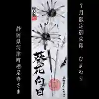 かっぱの寺 栖足寺(静岡県)