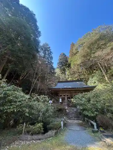 志明院（金光峯寺）の{uncategorized: "未分類", other: "その他", undefined: "問題あり", building: "その他建物", grave: "お墓", sacred_gate: "鳥居", guardian: "狛犬", statue: "像", buddha: "仏像", history: "歴史", nature: "自然", garden: "庭園", animal: "動物", pagoda: "塔", temizu: "手水舎", mountain_gate: "山門・神門", sanctuary: "本殿・本堂", subordinate: "末社・摂社", art: "芸術", scenery: "景色", jizo: "地蔵", ema: "絵馬", goshuin: "御朱印", omikuji: "おみくじ", items: "授与品その他", amulet: "お守り", goshuincho: "御朱印帳", eats: "食事", festival: "お祭り", votive_dance: "神楽", shichigosan: "七五三参", wedding: "結婚式", experience: "体験その他", initially: "初詣", around: "周辺", anti_infection: "感染症対策"}