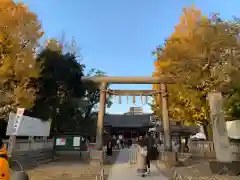 浅草神社の鳥居