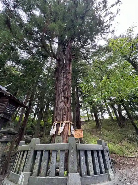 諏訪大社下社春宮(長野県)