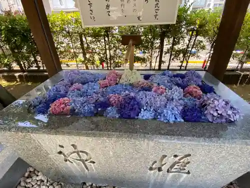 桜神宮の手水