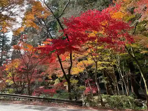 小國神社(静岡県)