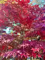 大國魂神社(東京都)