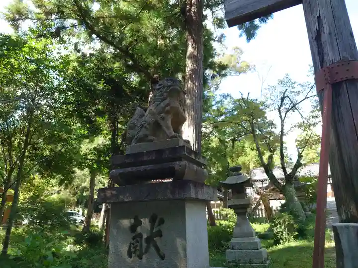 伊太祁曽神社の狛犬