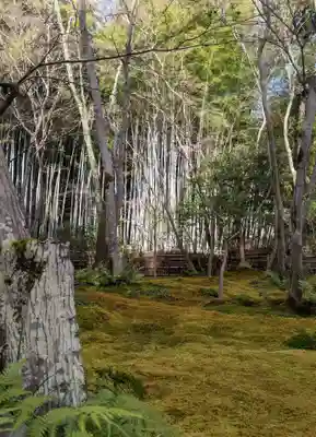 祇王寺(京都府)