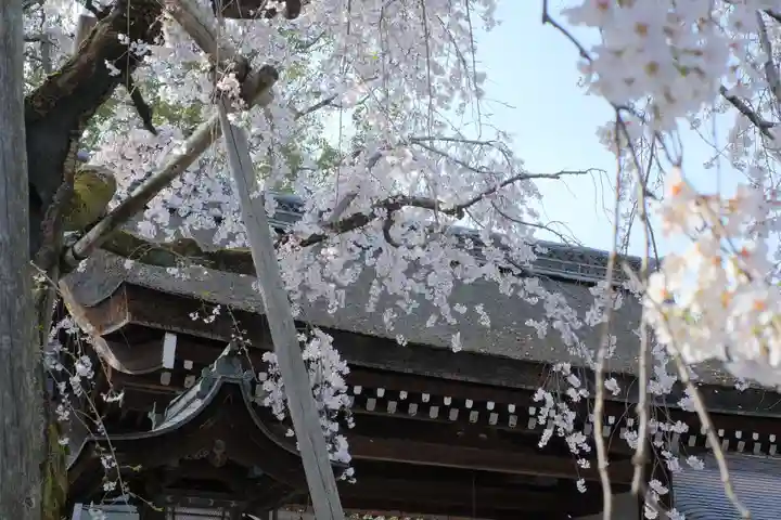 平野神社の自然