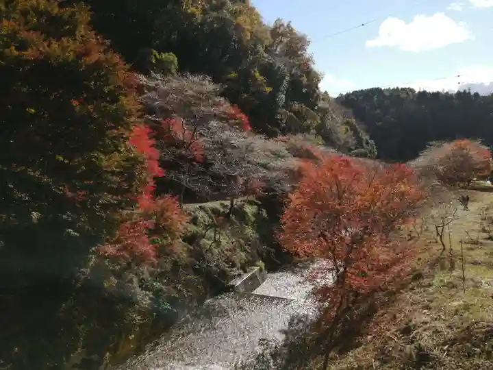 川見薬師寺の周辺