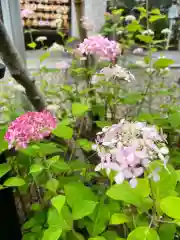 行田八幡神社の自然