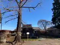 熊野神社の自然