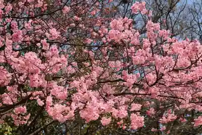 三津厳島神社(愛媛県)