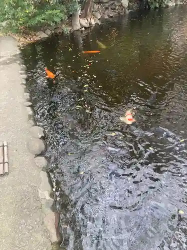 平塚八幡宮(神奈川県)
