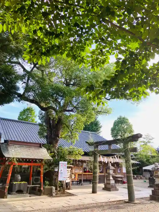 龍ケ崎八坂神社(茨城県)