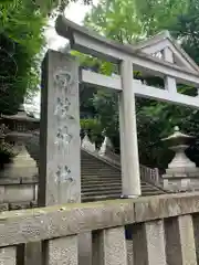 日枝神社の鳥居