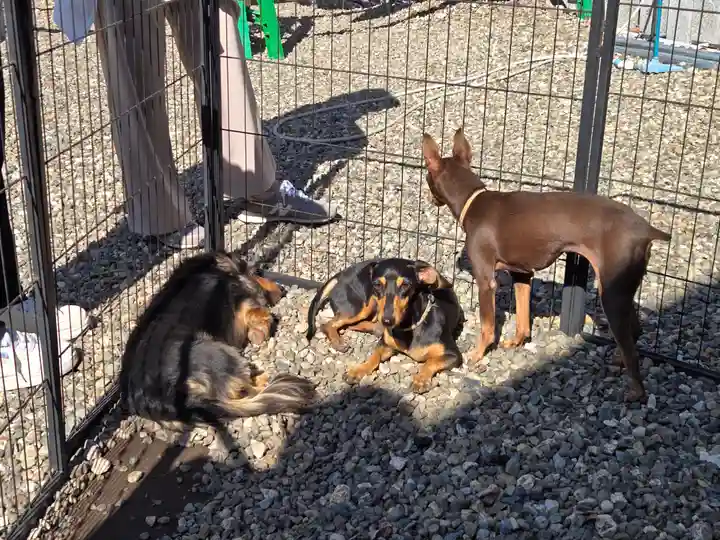 竹生島神社(都久夫須麻神社)(滋賀県)