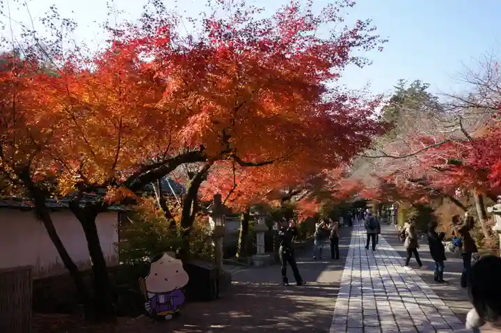 石山寺(滋賀県)