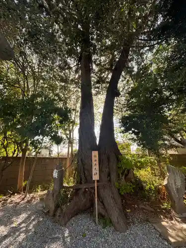 星宮神社の{uncategorized: "未分類", other: "その他", undefined: "問題あり", building: "その他建物", grave: "お墓", sacred_gate: "鳥居", guardian: "狛犬", statue: "像", buddha: "仏像", history: "歴史", nature: "自然", garden: "庭園", animal: "動物", pagoda: "塔", temizu: "手水舎", mountain_gate: "山門・神門", sanctuary: "本殿・本堂", subordinate: "末社・摂社", art: "芸術", scenery: "景色", jizo: "地蔵", ema: "絵馬", goshuin: "御朱印", omikuji: "おみくじ", items: "授与品その他", amulet: "お守り", goshuincho: "御朱印帳", eats: "食事", festival: "お祭り", votive_dance: "神楽", shichigosan: "七五三参", wedding: "結婚式", experience: "体験その他", initially: "初詣", around: "周辺", anti_infection: "感染症対策"}