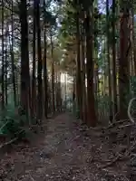 浅間神社の自然