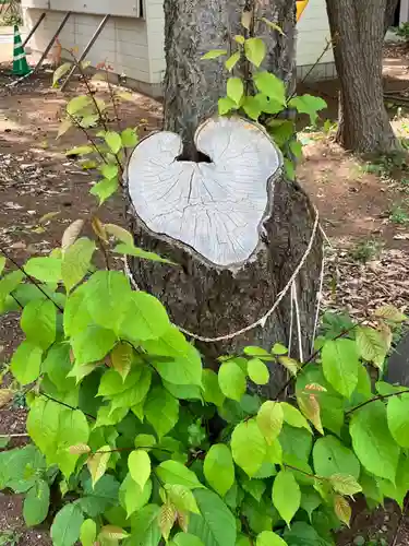 大谷地神社の自然