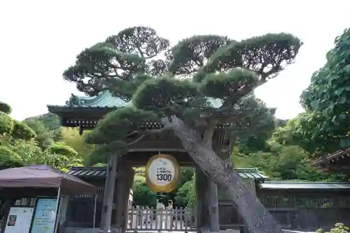 長谷寺の山門・神門