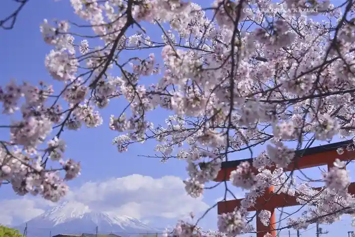 富士山本宮浅間大社の自然