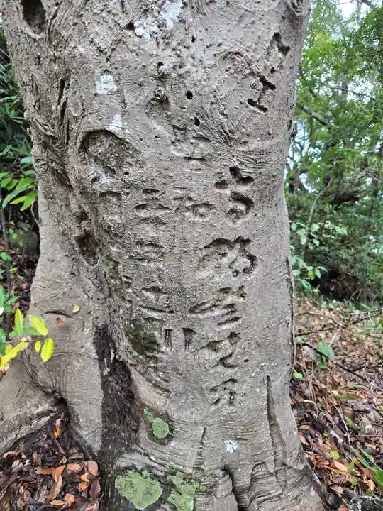 雲見浅間神社(静岡県)