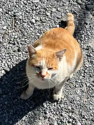 佐野赤城神社(栃木県)