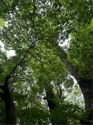 來宮神社(静岡県)