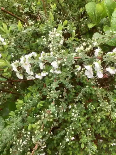 三輪神社の自然