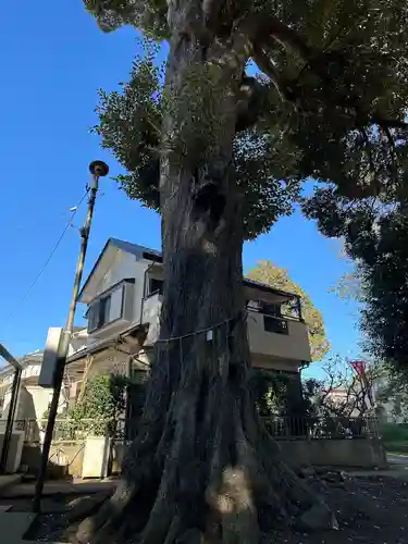 天照神社(千葉県)
