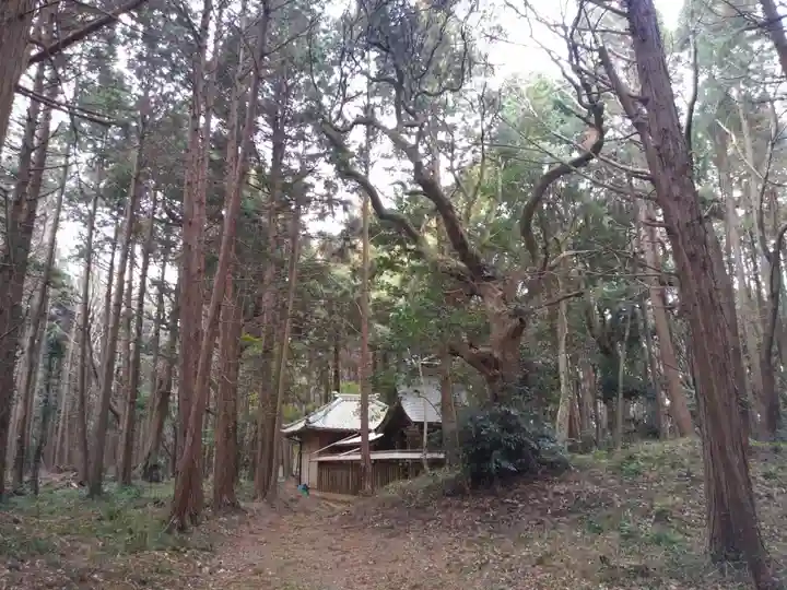 諏訪神社の周辺