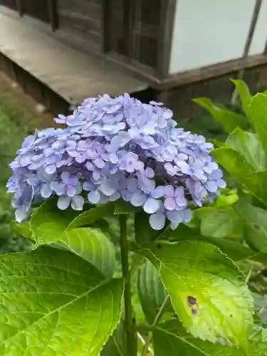 丹生大師 神宮寺の自然