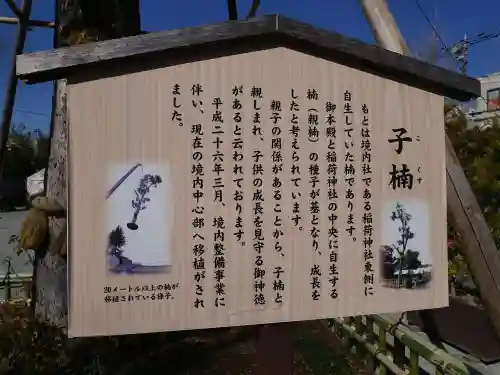 溝口神社の歴史