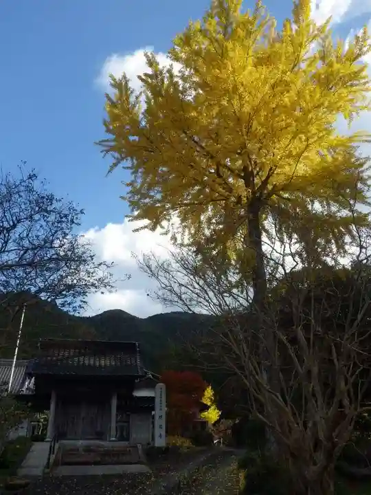 明教寺(山口県)