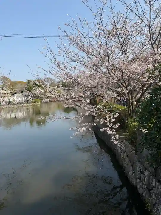 鶴岡八幡宮の{uncategorized: "未分類", other: "その他", undefined: "問題あり", building: "その他建物", grave: "お墓", sacred_gate: "鳥居", guardian: "狛犬", statue: "像", buddha: "仏像", history: "歴史", nature: "自然", garden: "庭園", animal: "動物", pagoda: "塔", temizu: "手水舎", mountain_gate: "山門・神門", sanctuary: "本殿・本堂", subordinate: "末社・摂社", art: "芸術", scenery: "景色", jizo: "地蔵", ema: "絵馬", goshuin: "御朱印", omikuji: "おみくじ", items: "授与品その他", amulet: "お守り", goshuincho: "御朱印帳", eats: "食事", festival: "お祭り", votive_dance: "神楽", shichigosan: "七五三参", wedding: "結婚式", experience: "体験その他", initially: "初詣", around: "周辺", anti_infection: "感染症対策"}