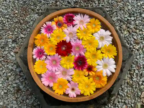 滑川神社 - 仕事と子どもの守り神の手水舎