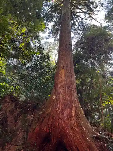 目の霊山　油山寺(静岡県)