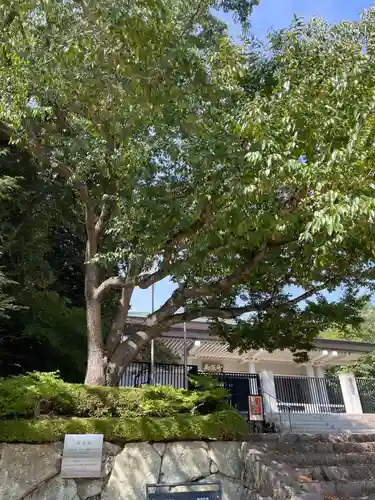 清荒神清澄寺(兵庫県)