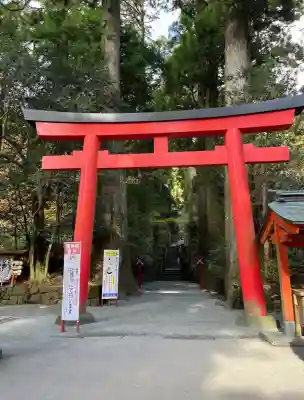 箱根神社の{uncategorized: "未分類", other: "その他", undefined: "問題あり", building: "その他建物", grave: "お墓", sacred_gate: "鳥居", guardian: "狛犬", statue: "像", buddha: "仏像", history: "歴史", nature: "自然", garden: "庭園", animal: "動物", pagoda: "塔", temizu: "手水舎", mountain_gate: "山門・神門", sanctuary: "本殿・本堂", subordinate: "末社・摂社", art: "芸術", scenery: "景色", jizo: "地蔵", ema: "絵馬", goshuin: "御朱印", omikuji: "おみくじ", items: "授与品その他", amulet: "お守り", goshuincho: "御朱印帳", eats: "食事", festival: "お祭り", votive_dance: "神楽", shichigosan: "七五三参", wedding: "結婚式", experience: "体験その他", initially: "初詣", around: "周辺", anti_infection: "感染症対策"}