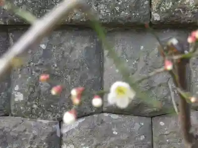 御霊神社のその他建物