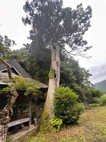 惶根神社(京都府)