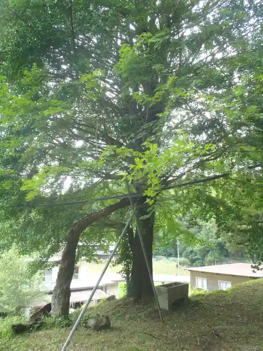 如来寺(愛知県)